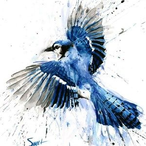 Meet your Posher, Bree